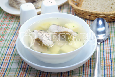 Уха из щуки Уха из щуки